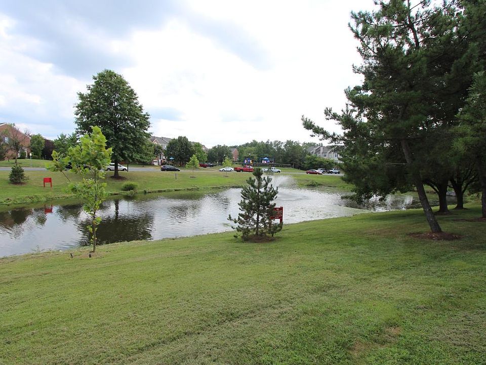 Pond View