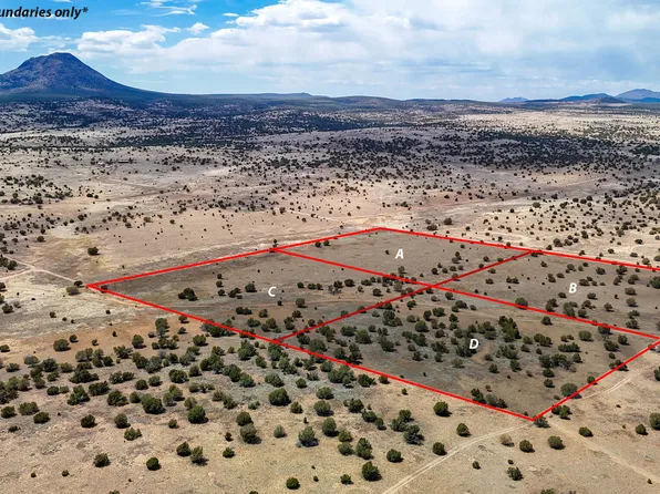 0 W Mile High Rd. Lot D 10 acres -- #84, Ash Fork, AZ 86320