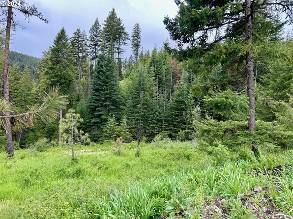 (undisclosed Address), Elgin, OR 97827