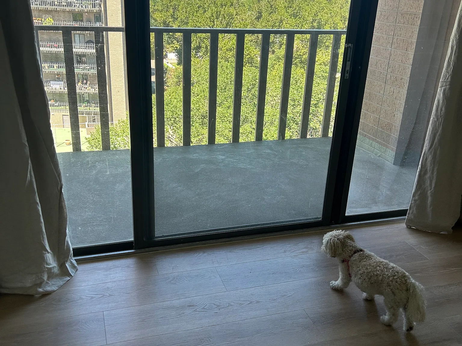 1 bed, 680 sqft, $2,150 — Photo 3