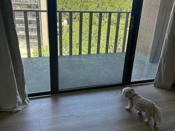3rd image of 400 S Lafayette St APT 804