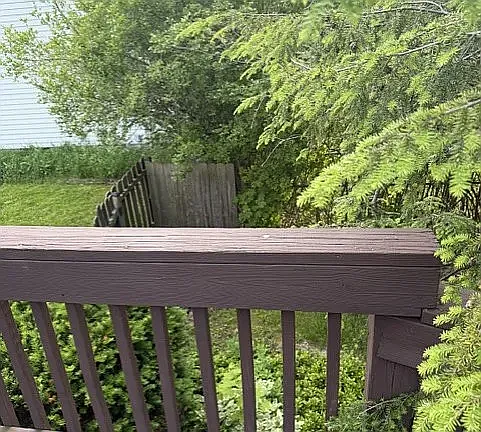 34186 Gail Dr — Photo 24