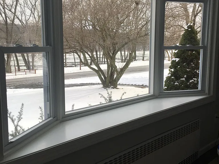 Family Room View (winter)
