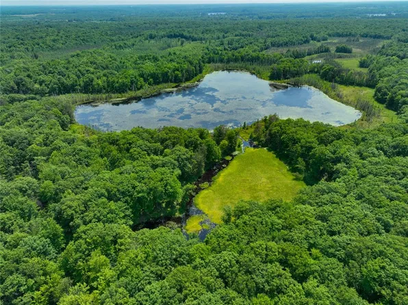 62.59 Acres 290th Avenue, Holcombe, WI 54745