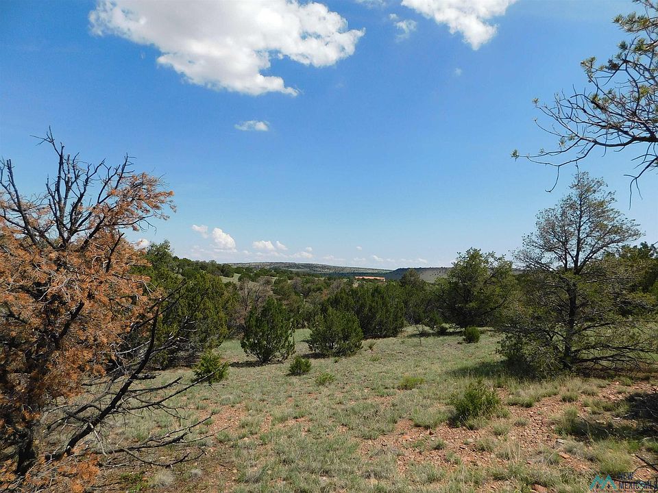 LOT 87 Dove Valley Rd, Quemado, NM 87829 MLS 20223923 Zillow