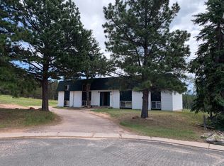 401 Mountain View Pl #2, Woodland Park, CO 80863