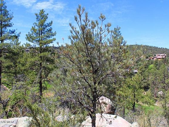 4th image of 515 Lodge Trail Cir