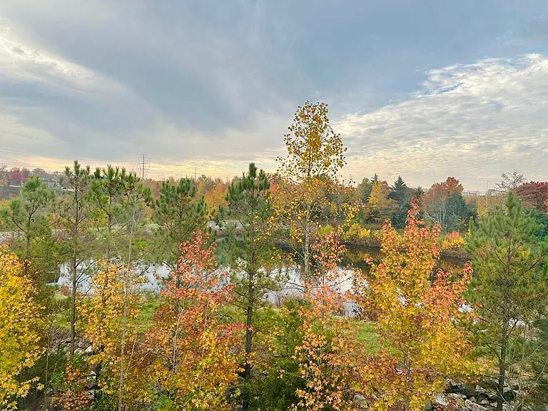 View from master bedroom