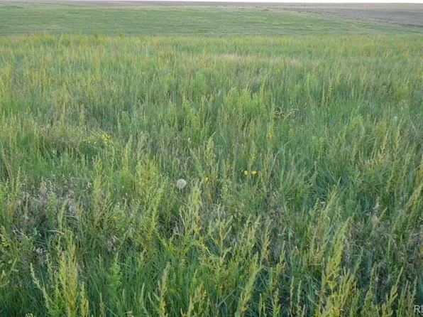 Prospect Way Road LOT 6, Fort Morgan, CO 80701