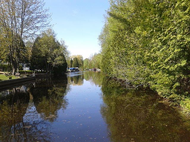 1st image of 350 Turkey Creek Trail 1.5 Acre
