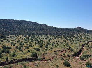 295 County Road C56 B, Trementina, NM 88439