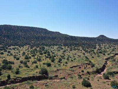 295 County Road C56 B, Trementina, NM, 88439