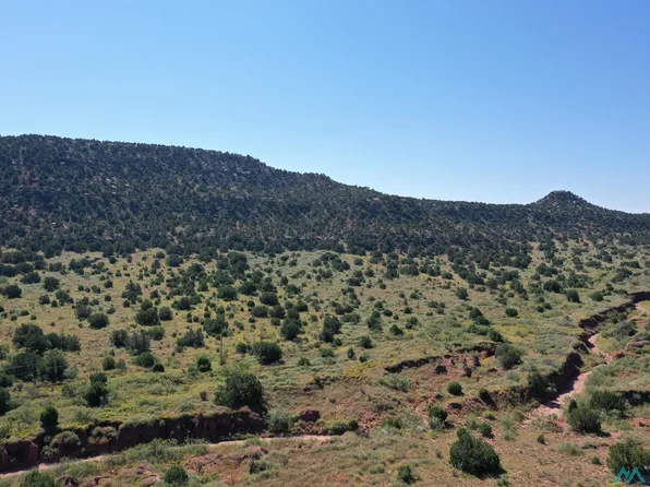 295 County Road C56 B, Trementina, NM 88439