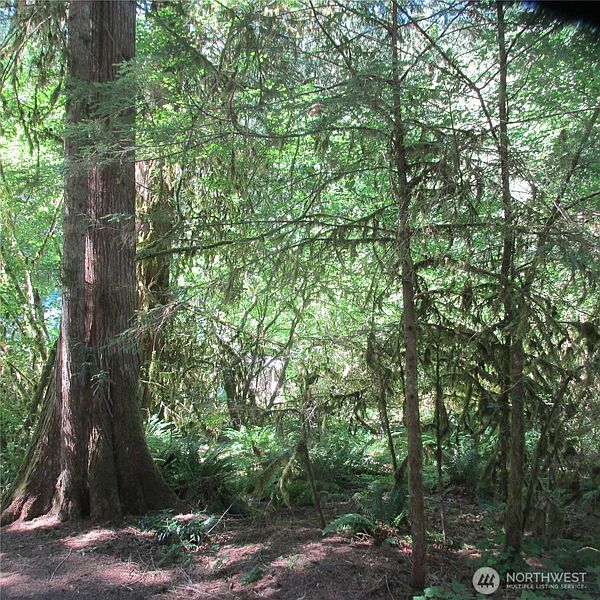 5th image of 10337 Glacier Rim Drive