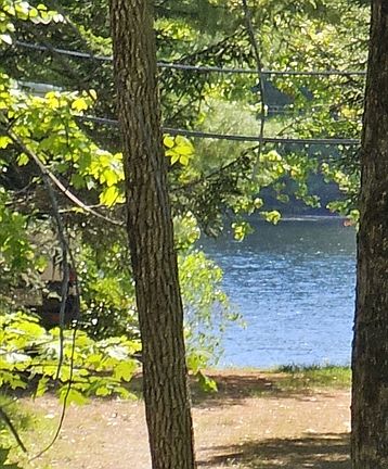 4th image of 12 Carey Rd