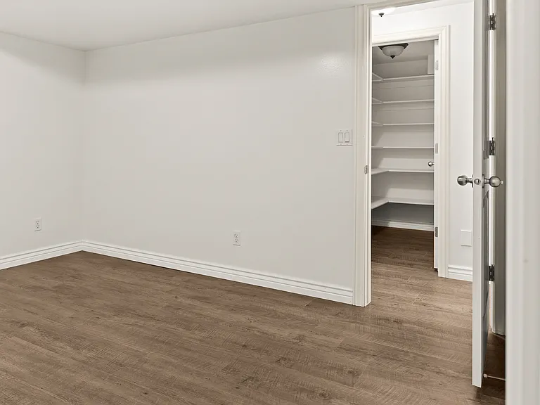 Downstairs Bedroom #3 and Hall closet