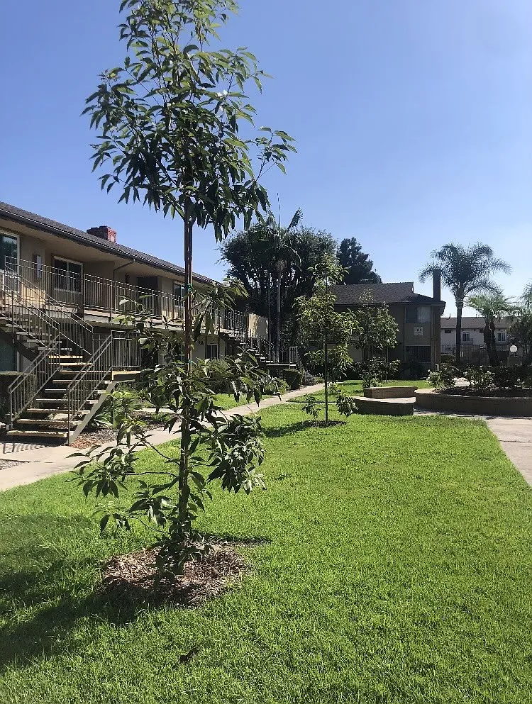 Park Village Apartments — Photo 3