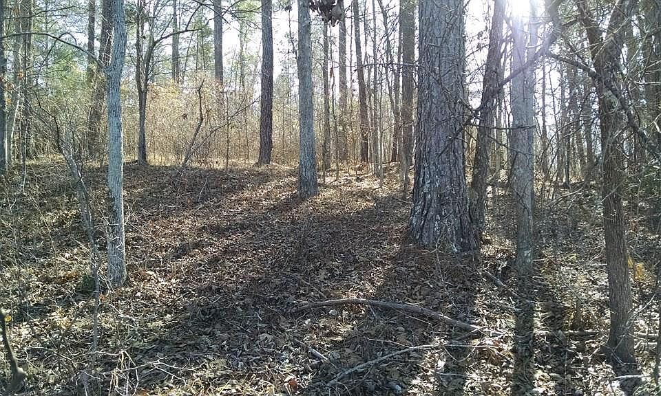 2nd image of LOT 1&2 Hickory Hill Dr