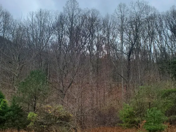 Mountain Valley, Millboro, VA 24460