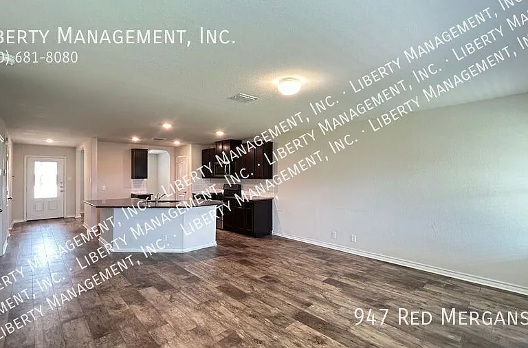 947 Red Merganser — Photo 10