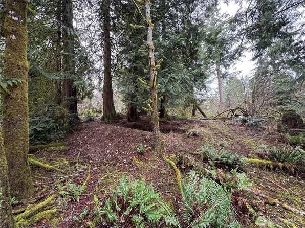 10110 Selma Circle, Anderson Island, WA 98303