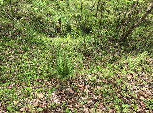 1 Lords Vw, Mineral Bluff, GA 30559