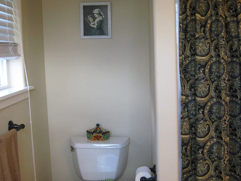 Master bath shower