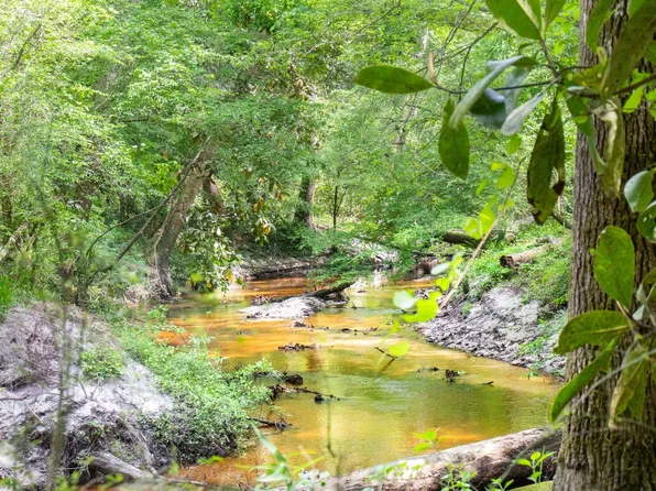 0 W Osprey Ln, Monticello, FL 32344