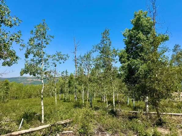 10775 E Tanglewood Dr, Heber, UT 84032