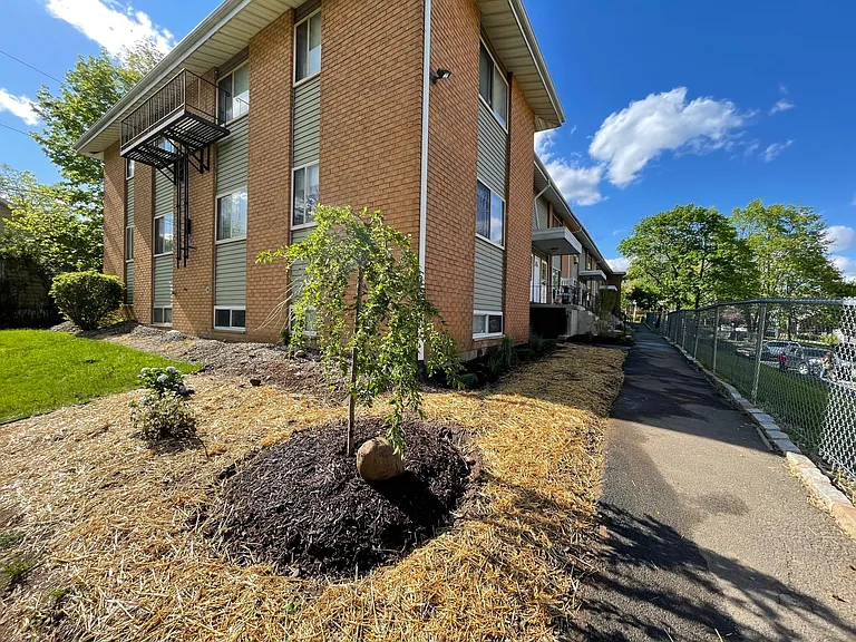 18 Waldron Ave #11B — Photo 3