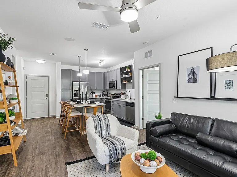 Living and Kitchen Area