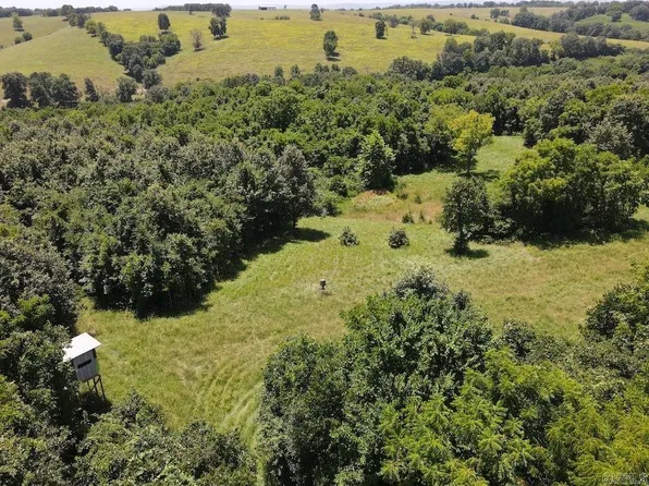 995 County Road 818 Cres #818, Green Forest, AR 72638