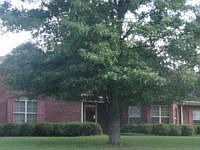 1st image of 142 Kingswood Dr