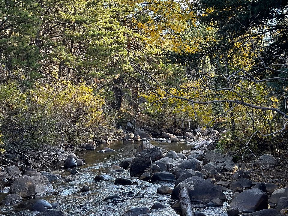 Stream outside cabin. Less than 50 feet from front door