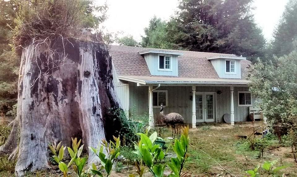 1st image of 175 Country Ln