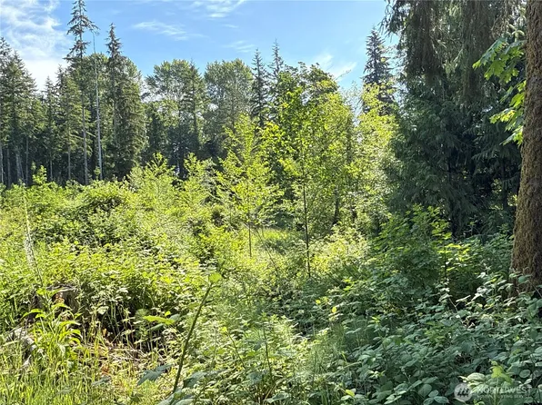 17 XXX Jim Creek Road, Arlington, WA 98223