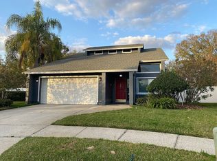 4805 Willowrun Pl, Tampa, FL 33624