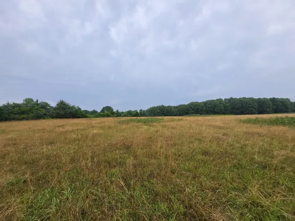 000 Tbd Bado Road 112 Acres, Cabool, MO 65689