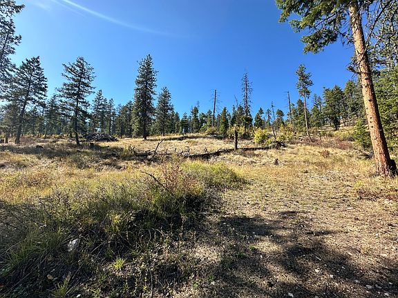 5th image of LOT 3 Deadman Creek Rd