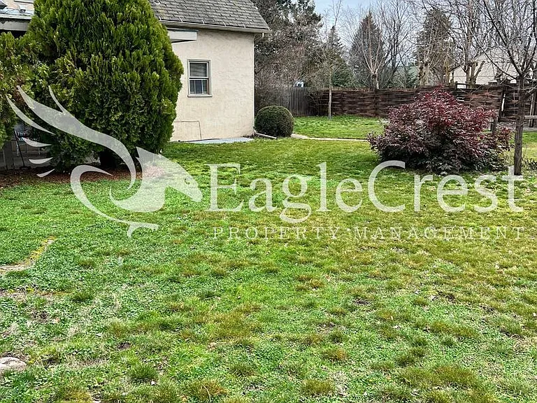 172 Brock St — Photo 3