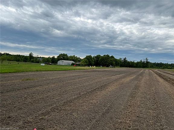 3rd image of 3359 Third Concession Rd