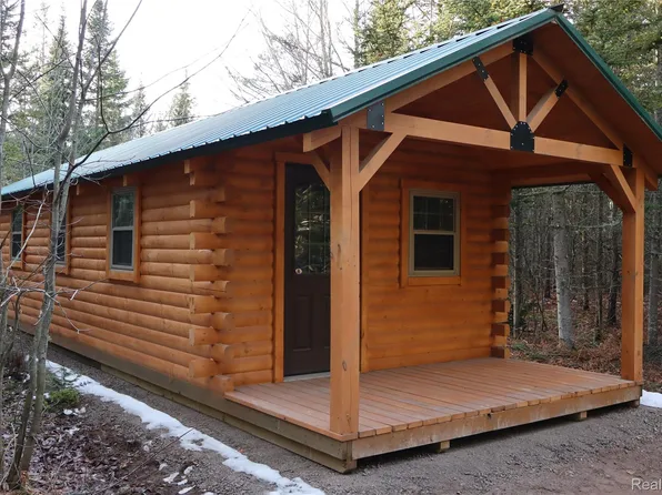 A W Pendills Lake Rd, Brimley, MI 49715