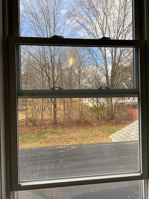 Window to back yard view