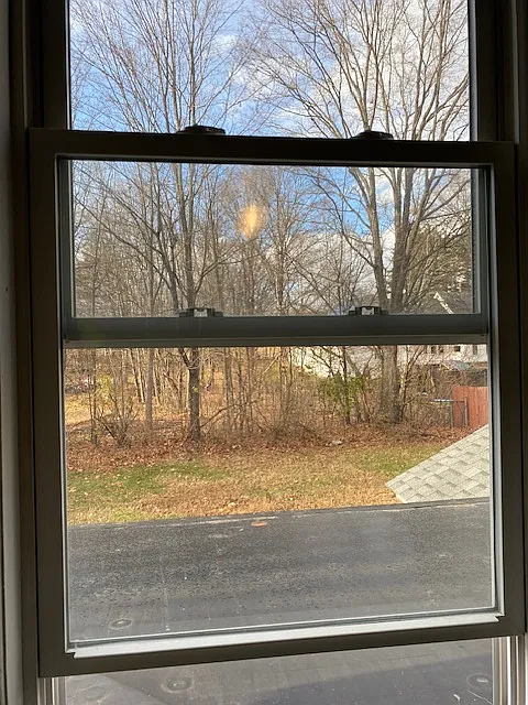 Window to back yard view