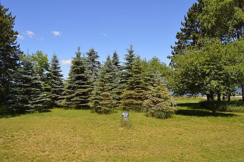 2nd image of L20 Ptarmigan Dr