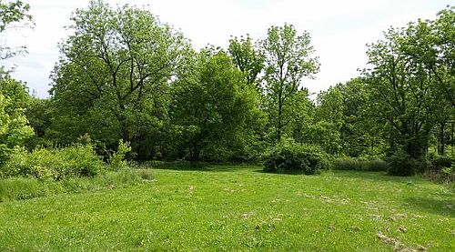 5th image of 12534 Hillview Dr