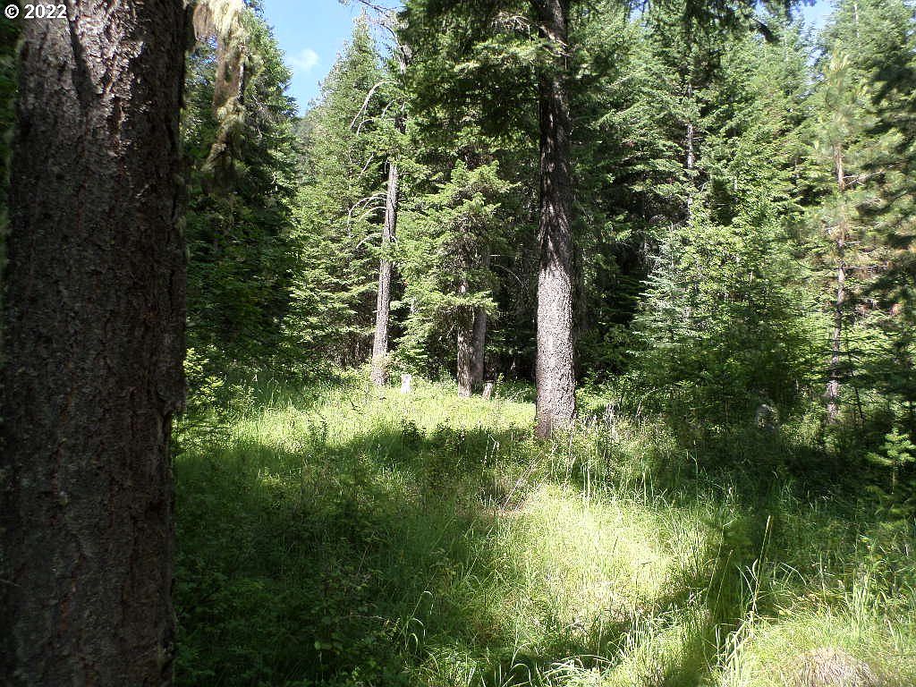 0 Lostine River Rd, Lostine, OR 97857 Zillow