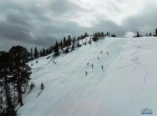 79 Deer Mountain Rd, Lead, SD 57754