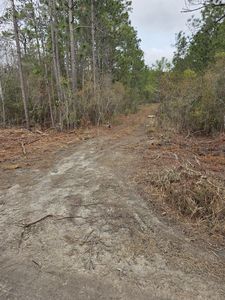 1253 N Bobwhite Lane SE, Southport, NC, 28461