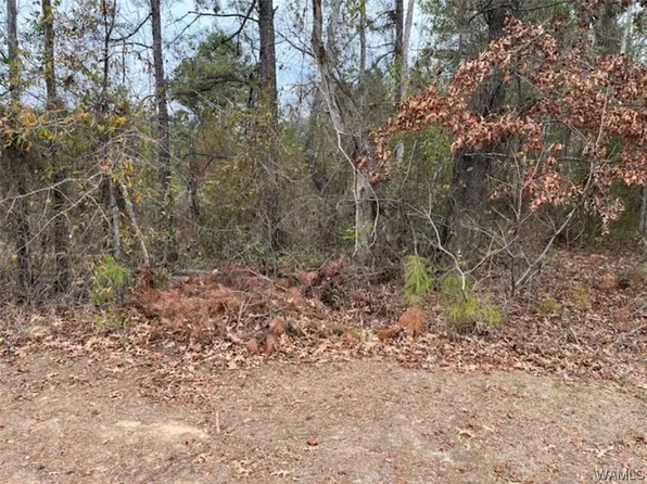 3100 Payne Lake Rd, Brent, AL 35034